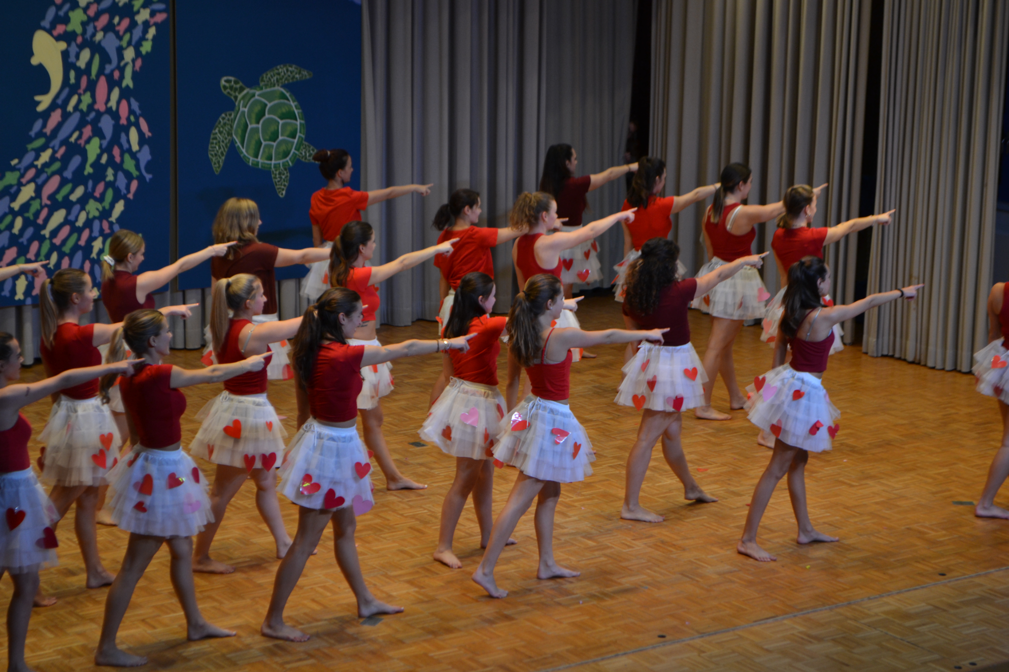 Bild2 (149)